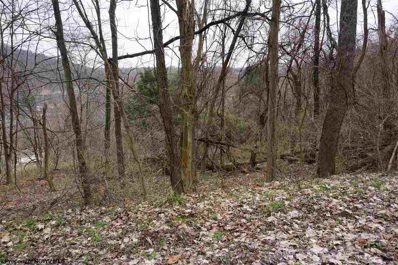 Lot 17,18 Purinton Avenue, Morgantown, WV 26505