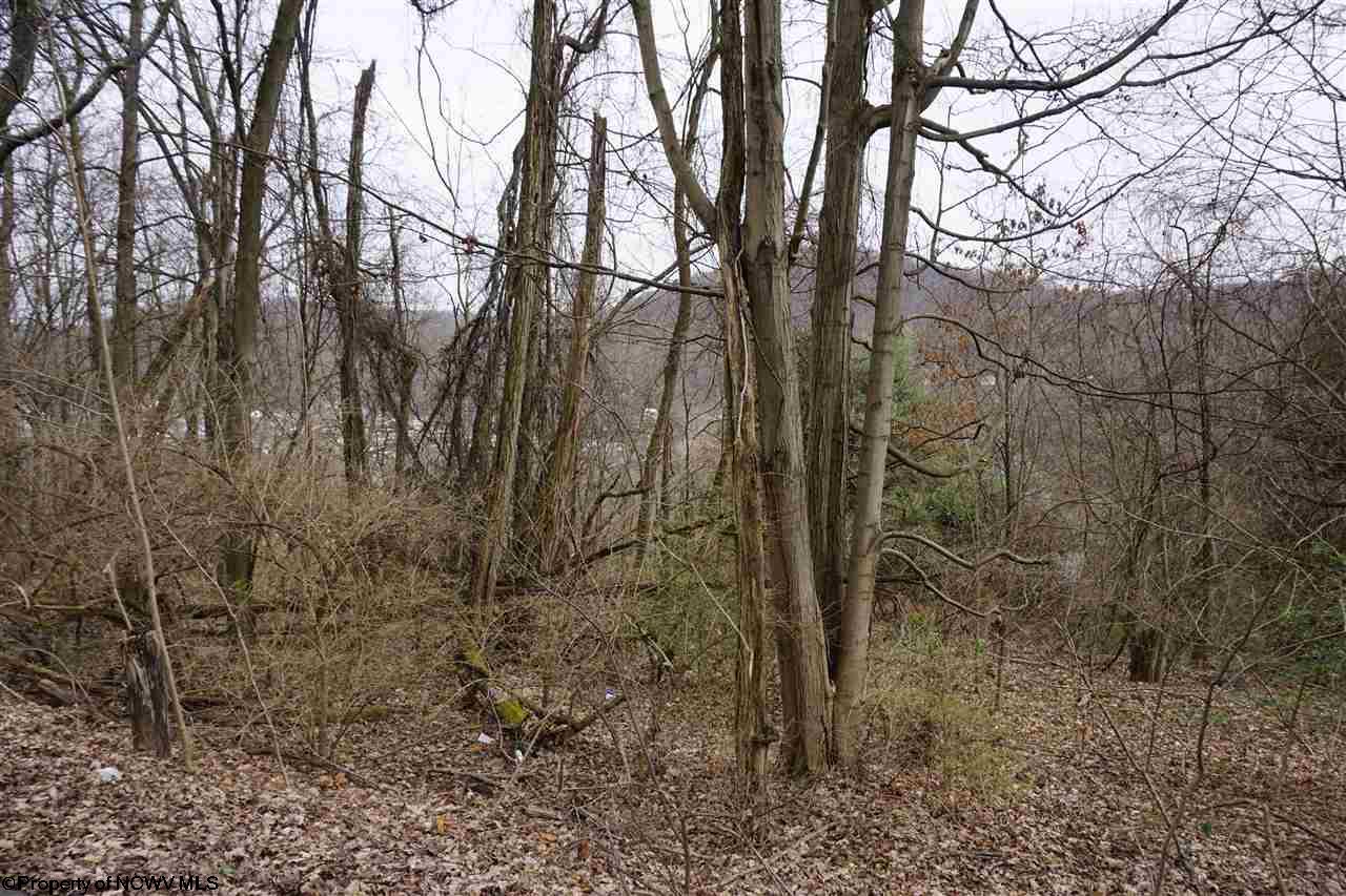 Lot 17,18 Purinton Avenue, Morgantown, WV 26505