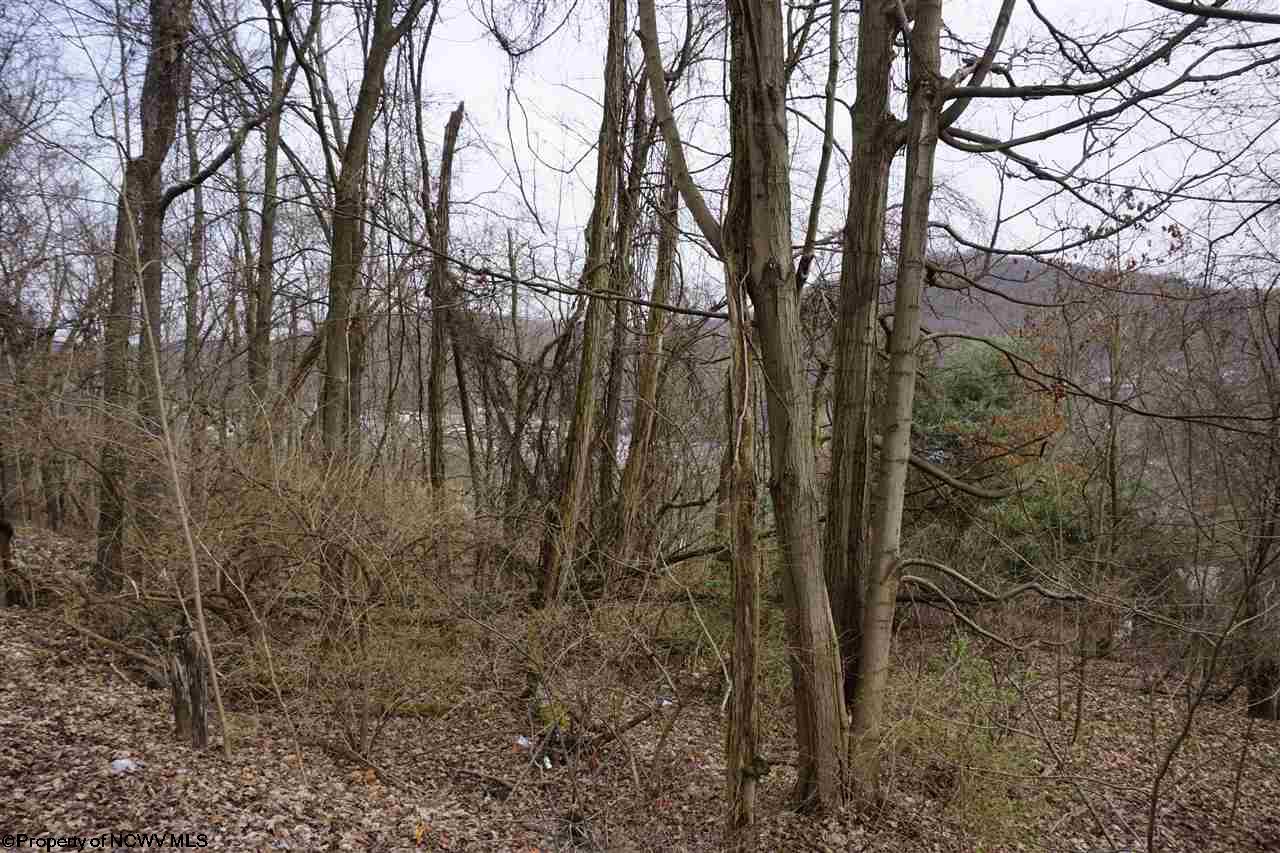 Lot 17,18 Purinton Avenue, Morgantown, WV 26505