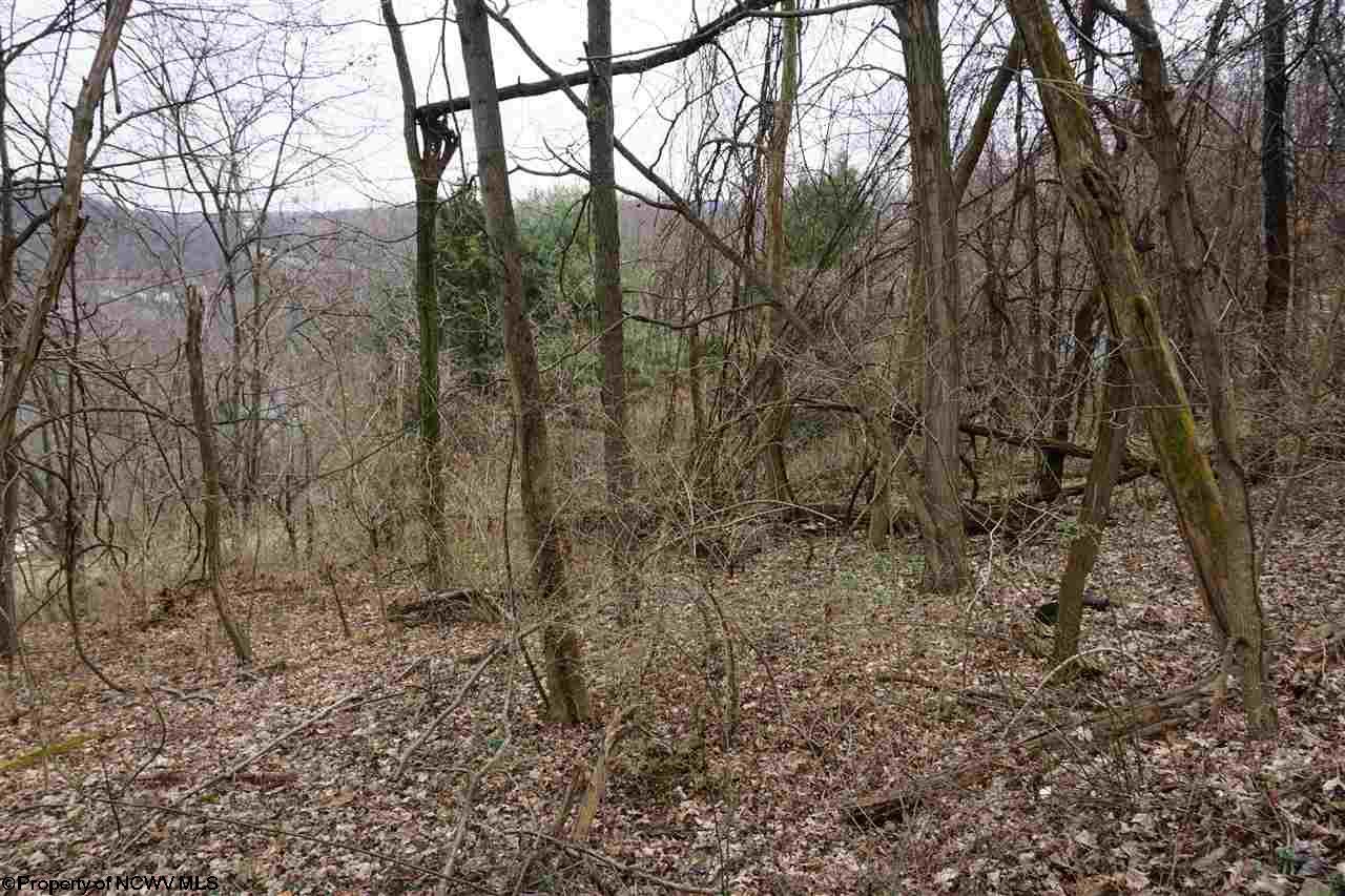 Lot 17,18 Purinton Avenue, Morgantown, WV 26505