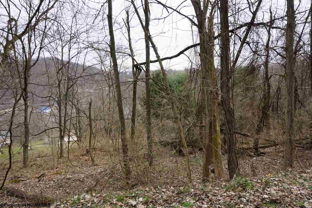 Lot 17,18 Purinton Avenue, Morgantown, WV 26505