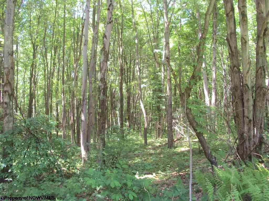 Lots 37 &amp; 37.8 Wv Rt 40/4 