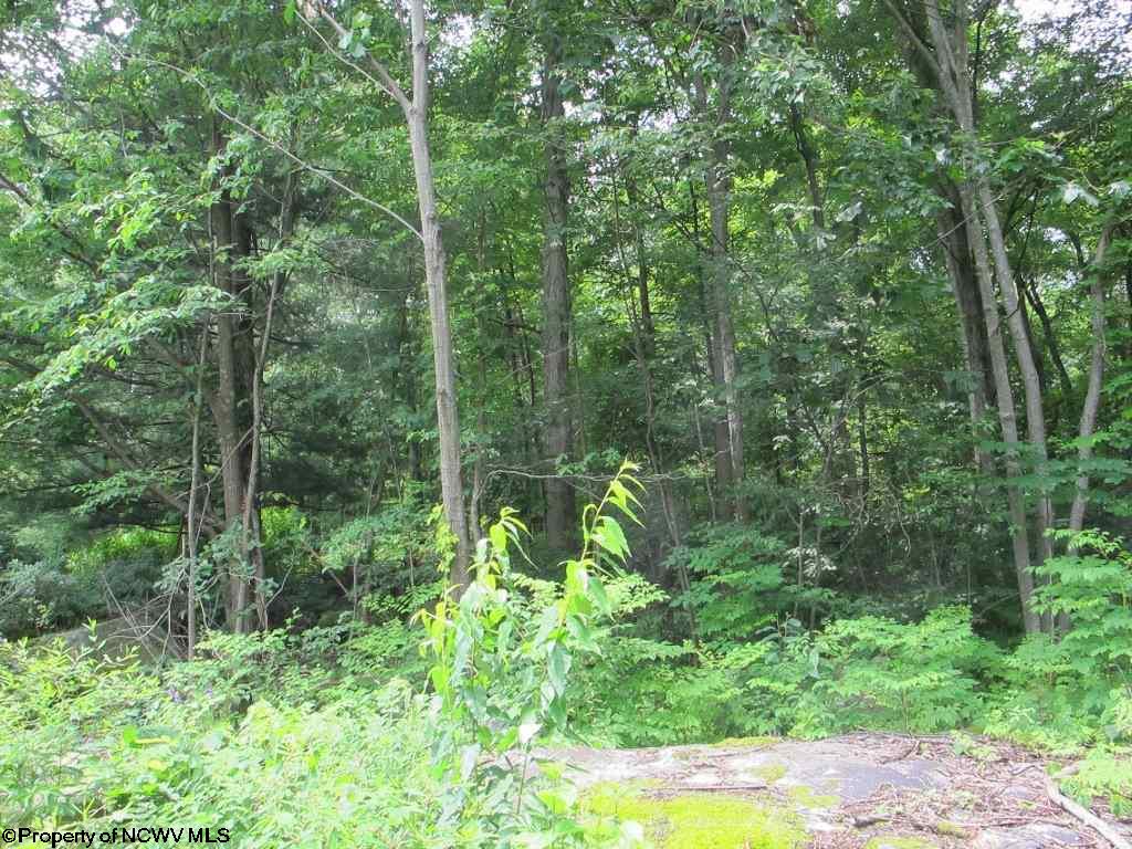 Lot B43 Paradise Circle, Morgantown, WV 26508