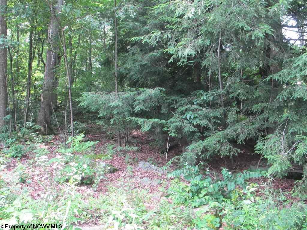 Lot B44 Paradise Circle, Morgantown, WV 26508