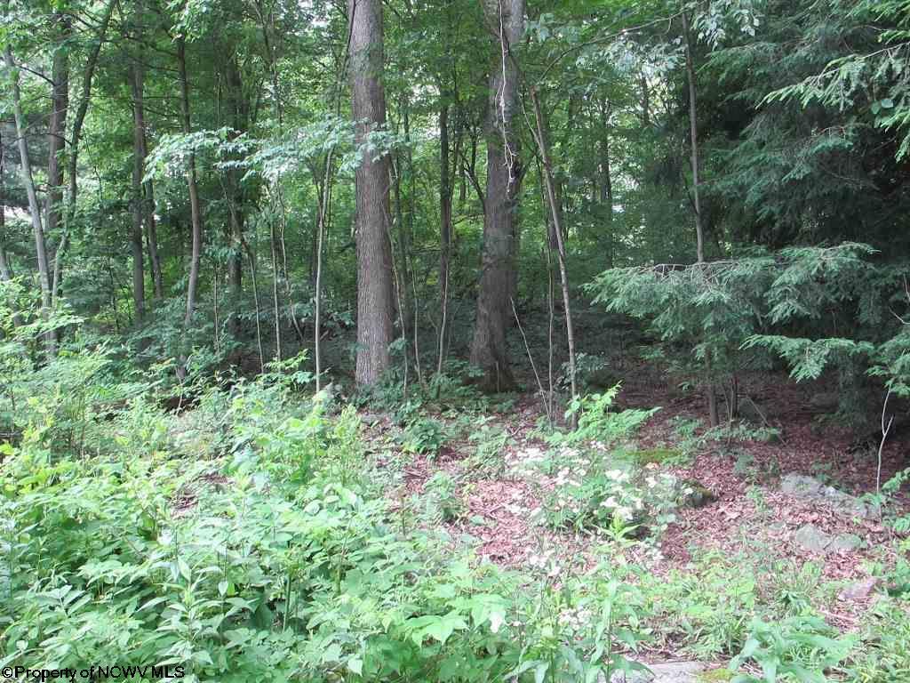 Lot B44 Paradise Circle, Morgantown, WV 26508