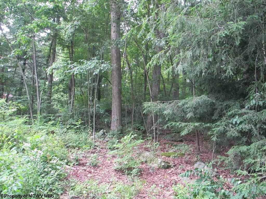 Lot B44 Paradise Circle, Morgantown, WV 26508
