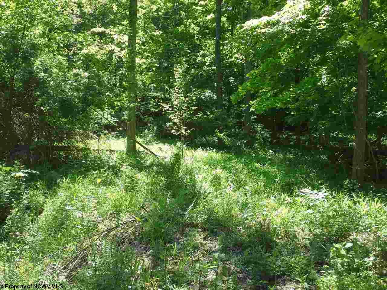 3000 Lot 1 Wake Robin Trail, Morgantown, WV 26508