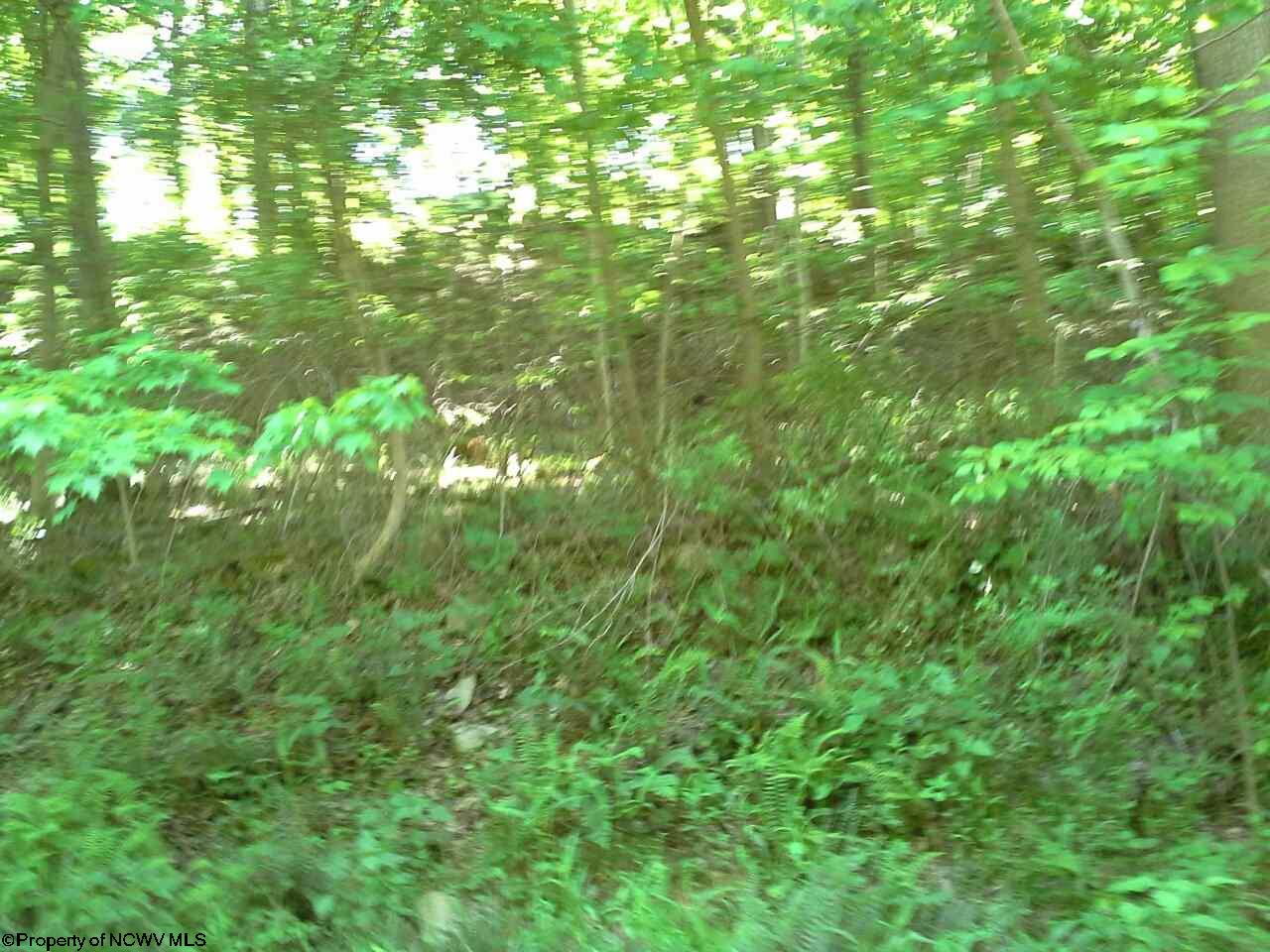 3000 Lot 1 Wake Robin Trail, Morgantown, WV 26508