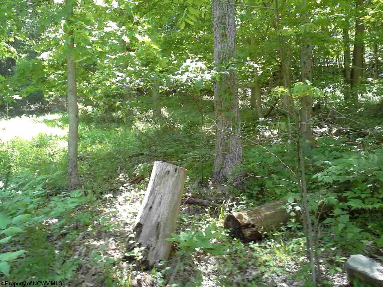 3000 Lot 1 Wake Robin Trail, Morgantown, WV 26508