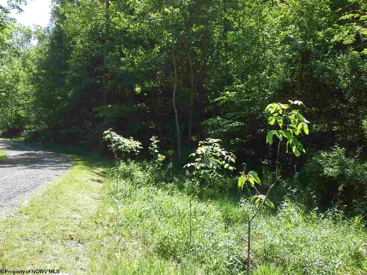 3000 Lot 1 Wake Robin Trail, Morgantown, WV 26508