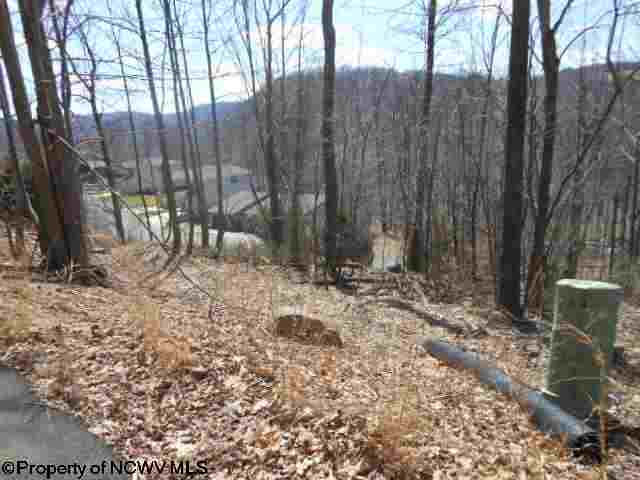 Lot 13 Mont Chateau Estates