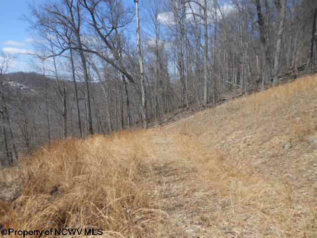 Lot 13 Mont Chateau Estates