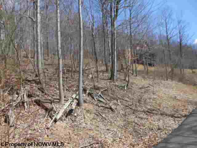 Lot 13 Mont Chateau Estates
