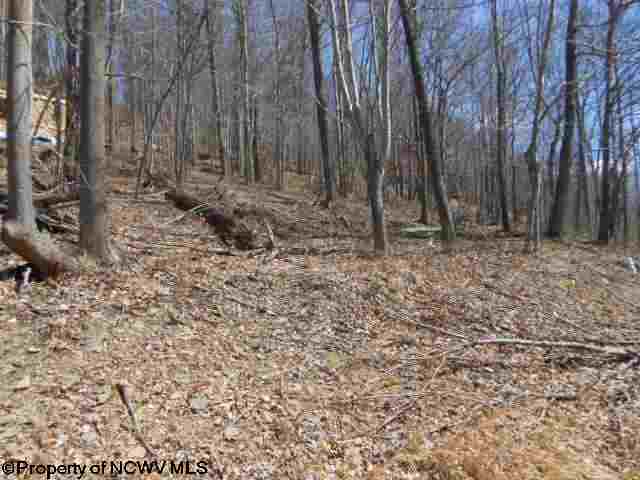 Lot 13 Mont Chateau Estates
