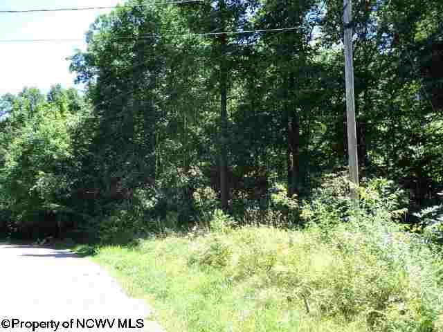 2071 Coopers Rock Incline Road