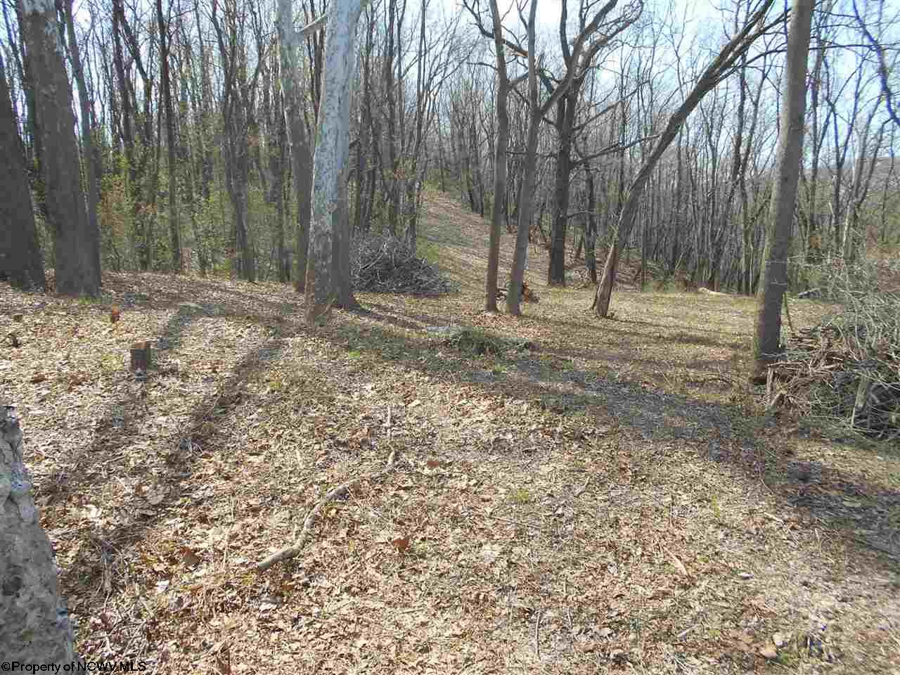 352 Camp Run Road