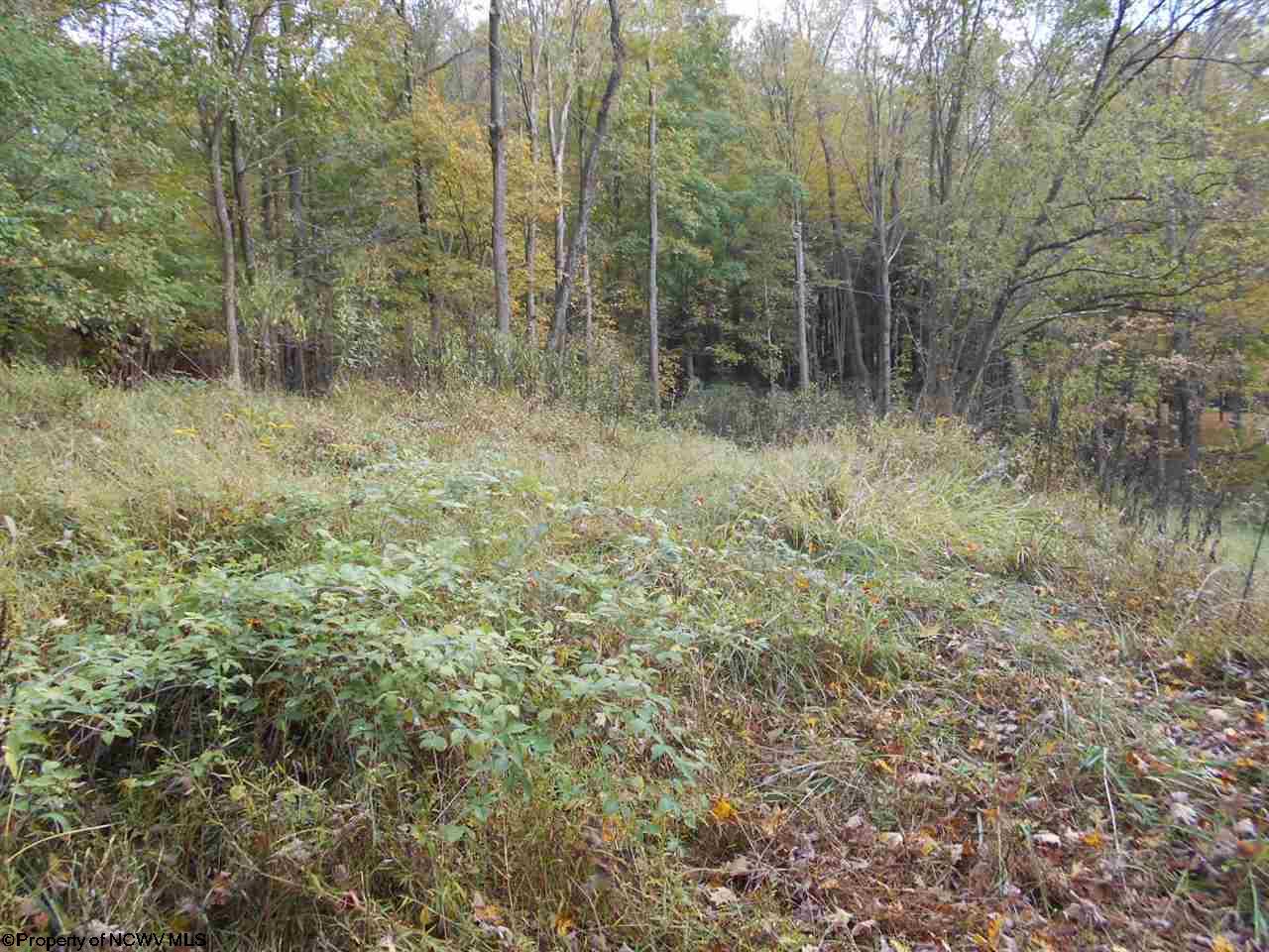 352 Camp Run Road
