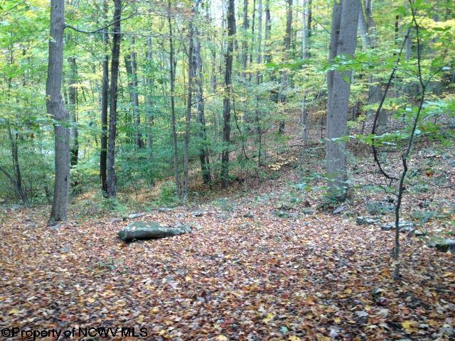 1301 Wake Robin Trail