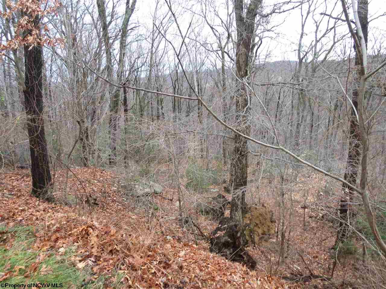 913 Greenbag Road