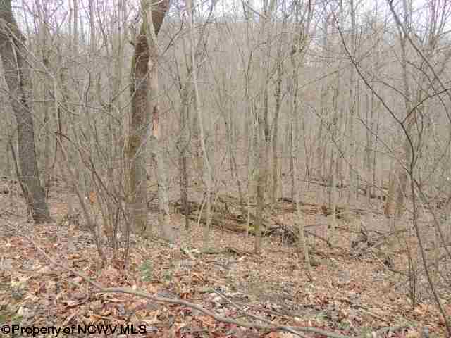 Lot 3 Summit At Greystone Drive