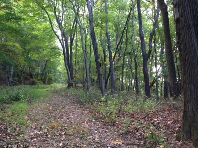Lot 8 Summit At Greystone Drive