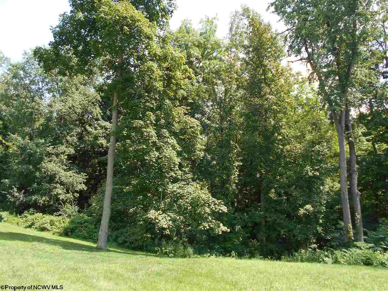 17Th Fairway 