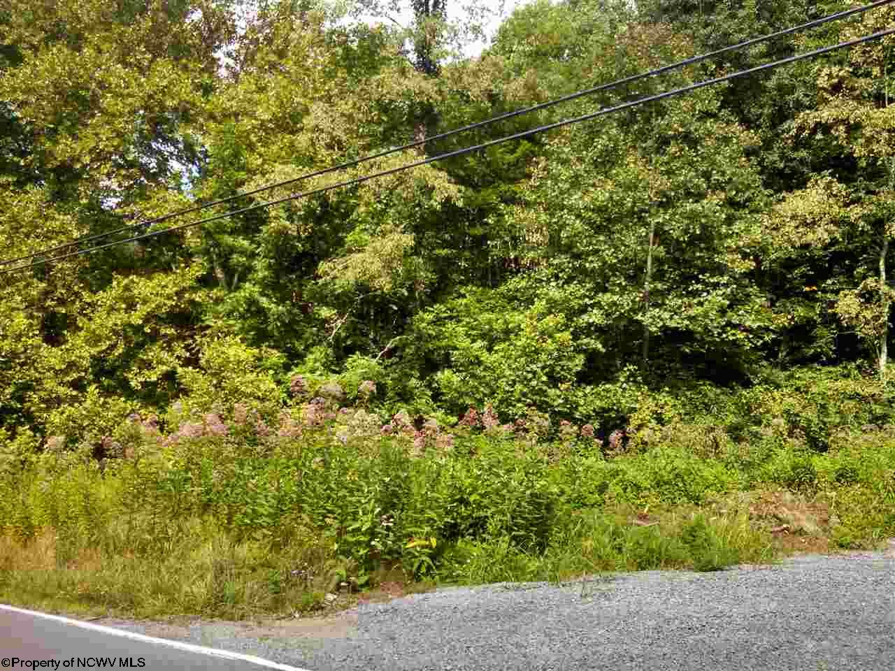 3338 Earl L Core Rd