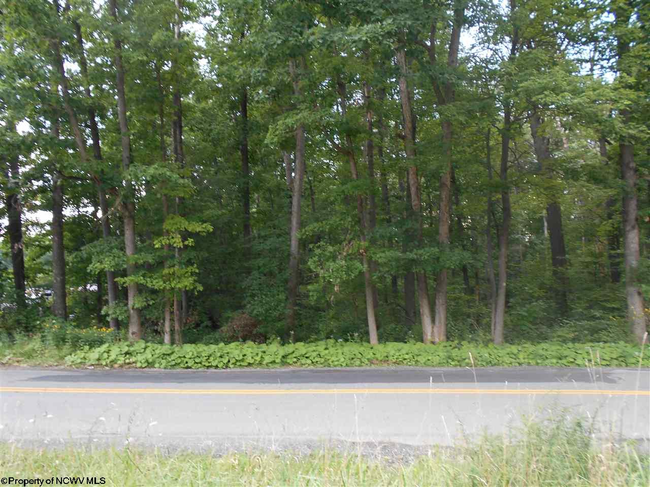3338 Earl L Core Rd