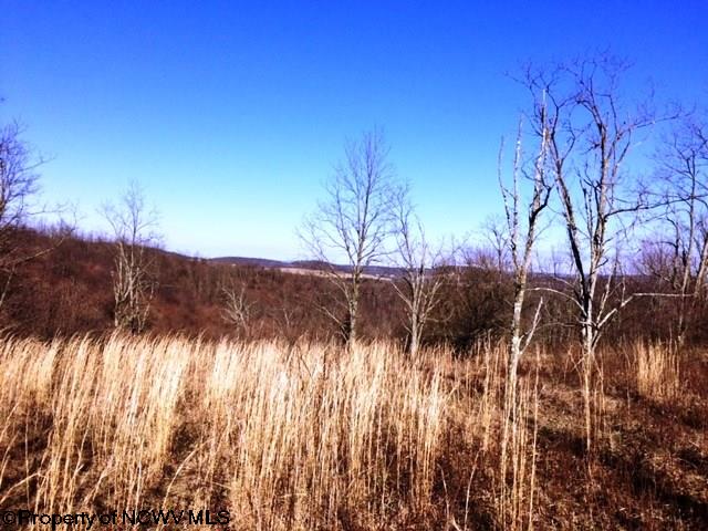 TBD Sugar Valley Road, Albright, WV 26519