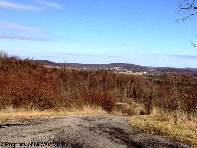 TBD Sugar Valley Road, Albright, WV 26519