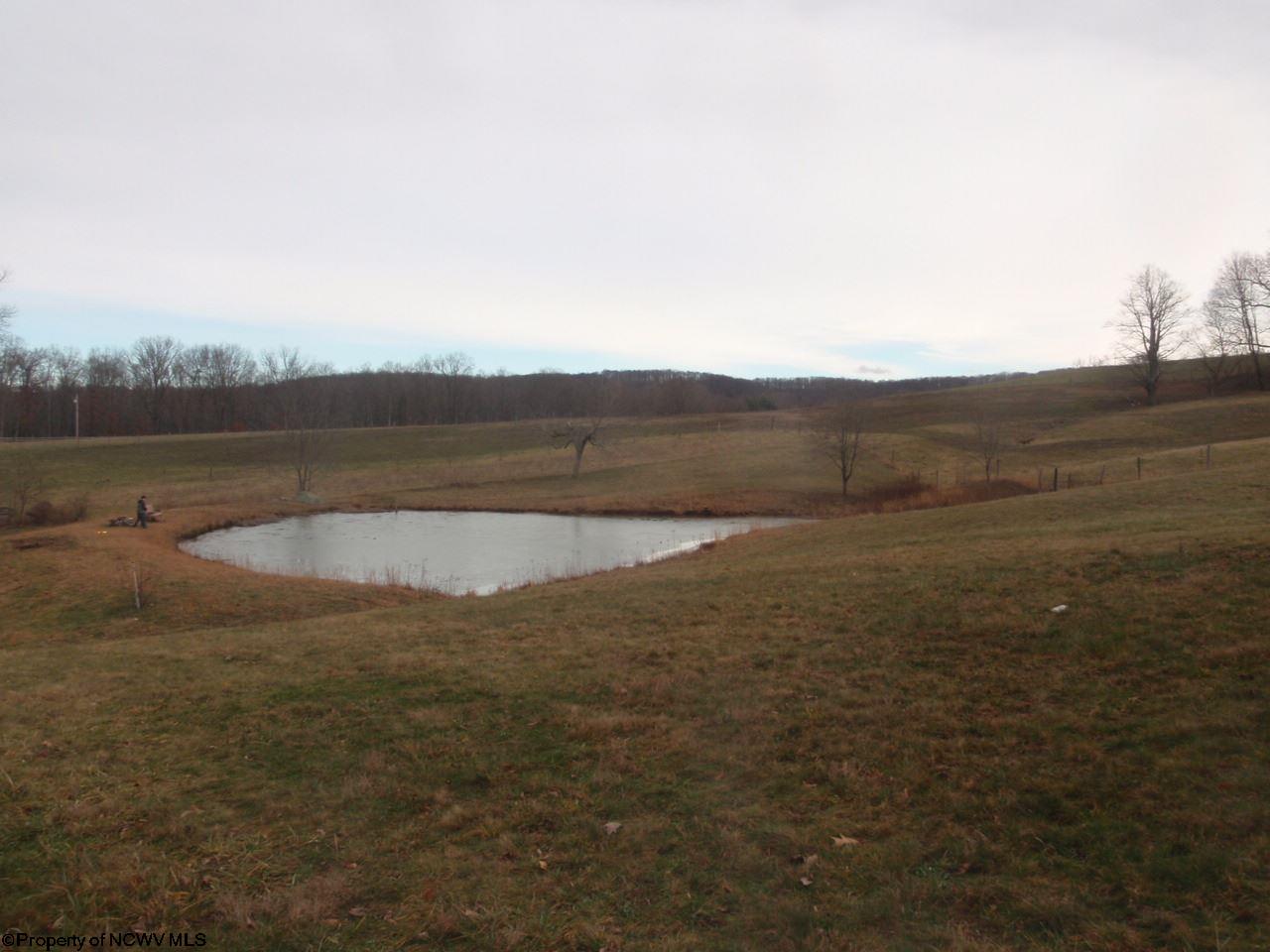 TBD Harmony Grove Road, Albright, WV 26519