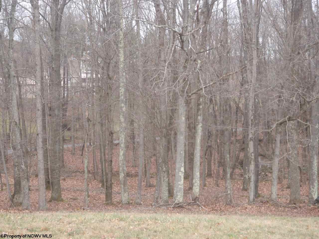 TBD Harmony Grove Road, Albright, WV 26519
