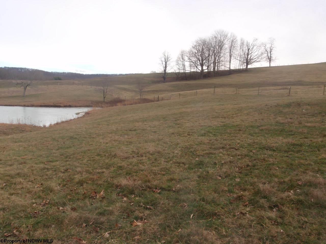 TBD Harmony Grove Road, Albright, WV 26519