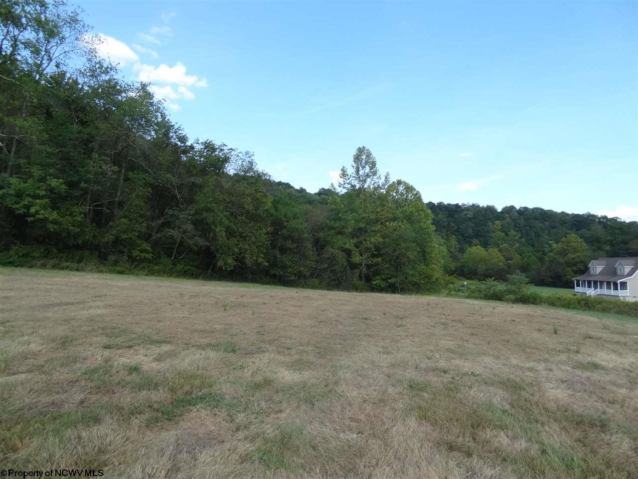 Lot E Old Mill Road, Blacksville, WV 26521