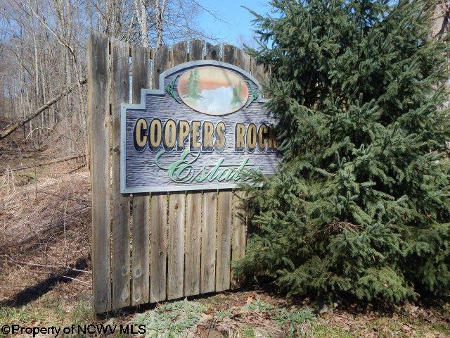 Lot 22 Coopers Rock Estates, Bruceton Mills, WV 26525