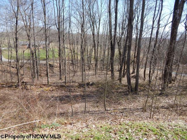 Lot 22 Coopers Rock Estates, Bruceton Mills, WV 26525