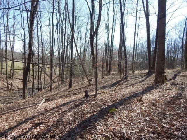 Lot 22 Coopers Rock Estates, Bruceton Mills, WV 26525