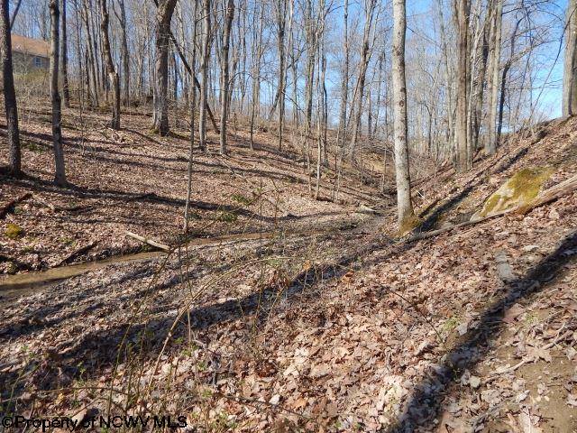 Lot 22 Coopers Rock Estates, Bruceton Mills, WV 26525