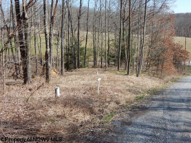 Lot 22 Coopers Rock Estates, Bruceton Mills, WV 26525