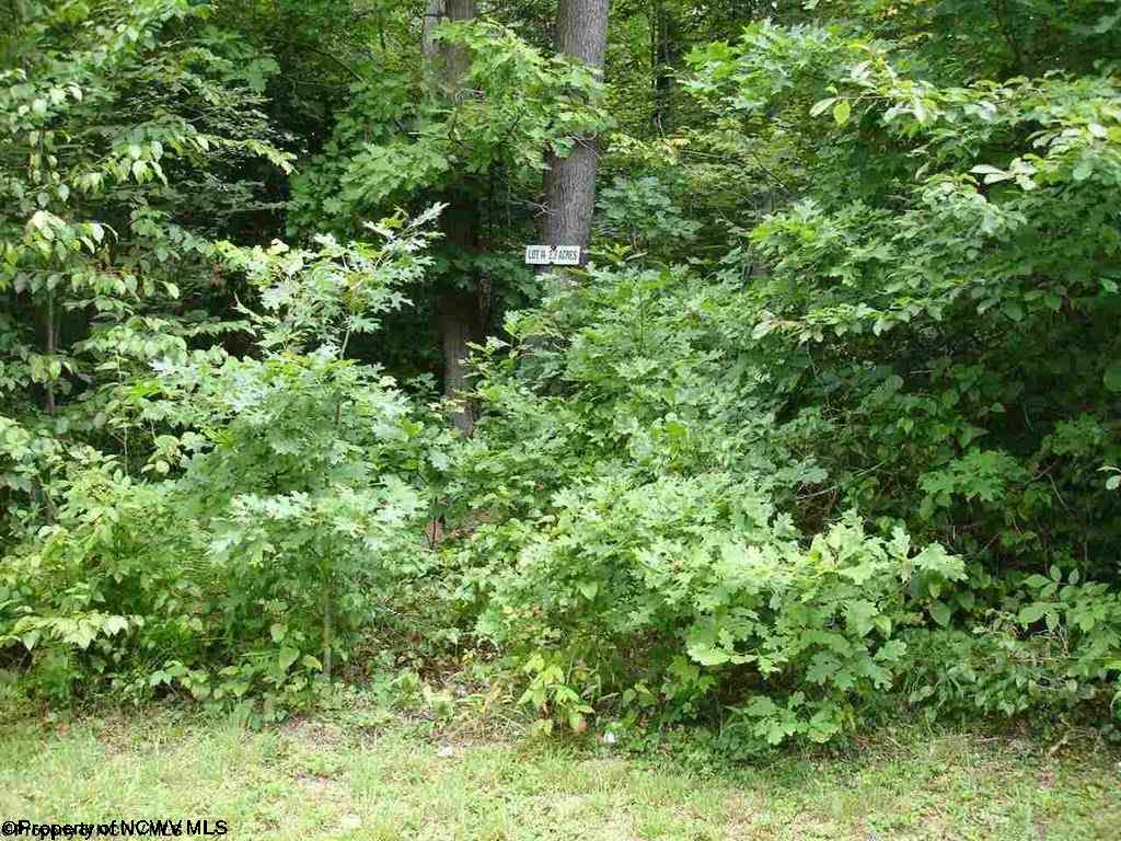 14 Sine Place, Bruceton Mills, WV 26525
