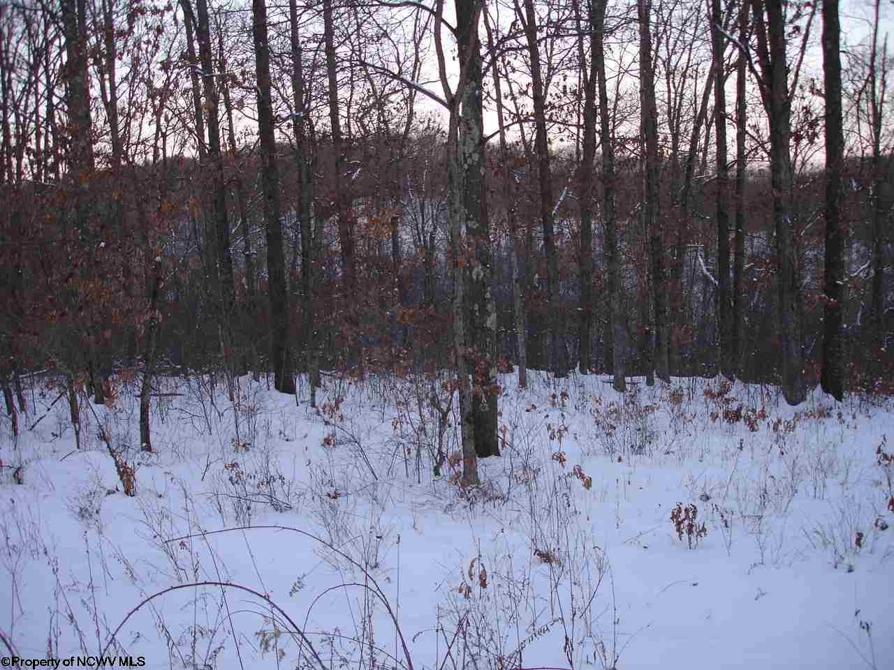 Lot 15 Sandy Creek Acres Dr Drive, Bruceton Mills, WV 26525