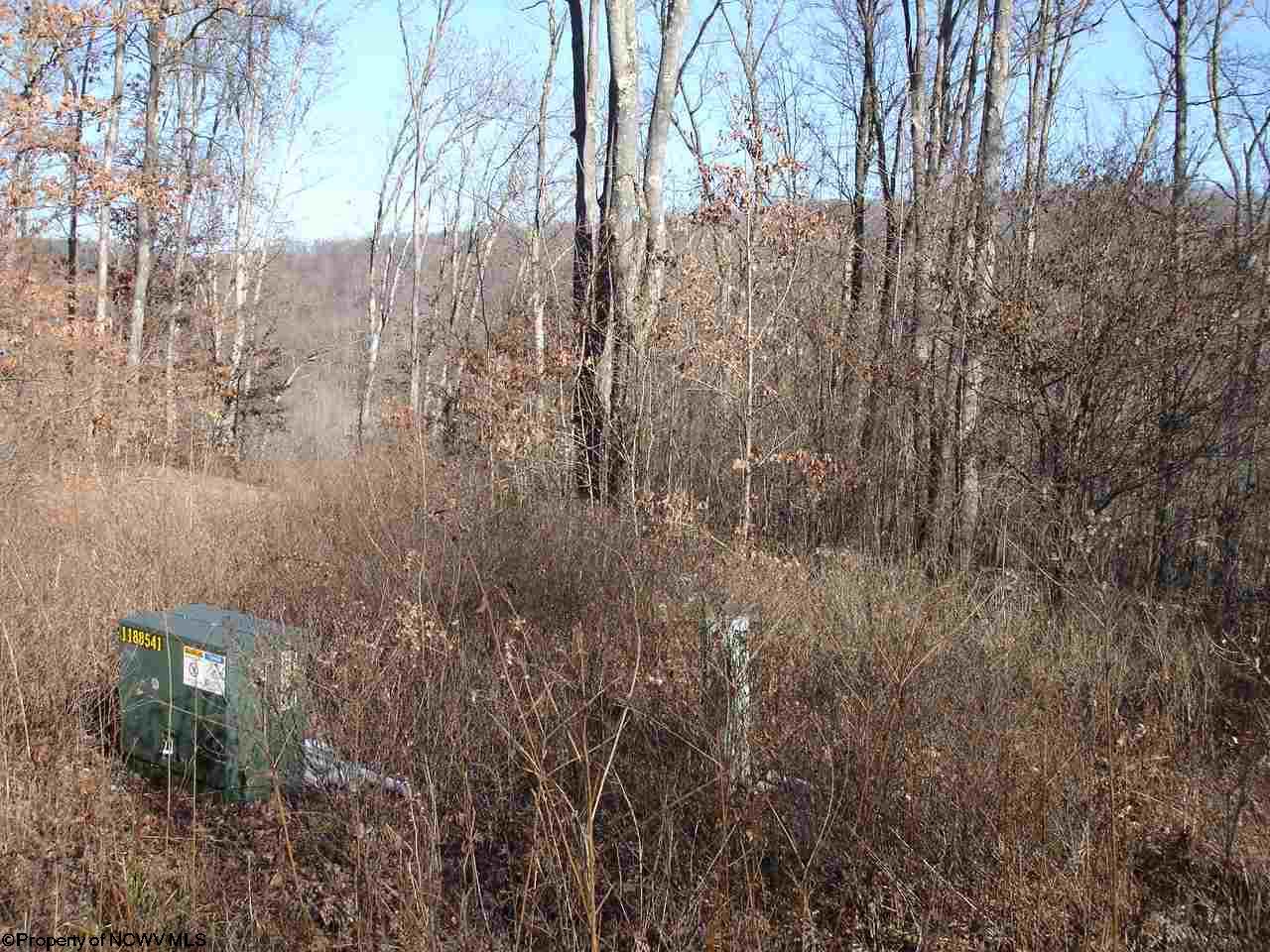 Lot 15 Sandy Creek Acres Dr Drive, Bruceton Mills, WV 26525