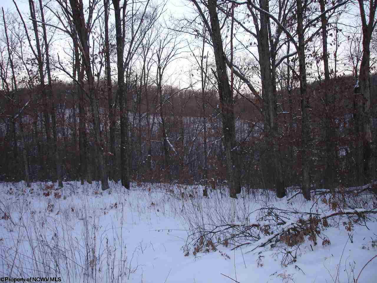 Lot 15 Sandy Creek Acres Dr Drive, Bruceton Mills, WV 26525
