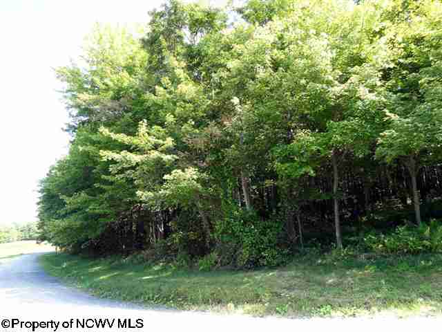 Lot 14 Hazelwood Drive, Hazelton, WV 26525