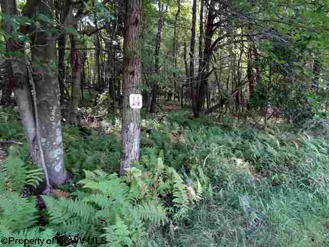 Lot 14 Hazelwood Drive, Hazelton, WV 26525