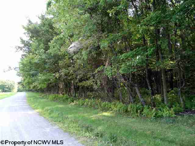 Lot 14 Hazelwood Drive, Hazelton, WV 26525