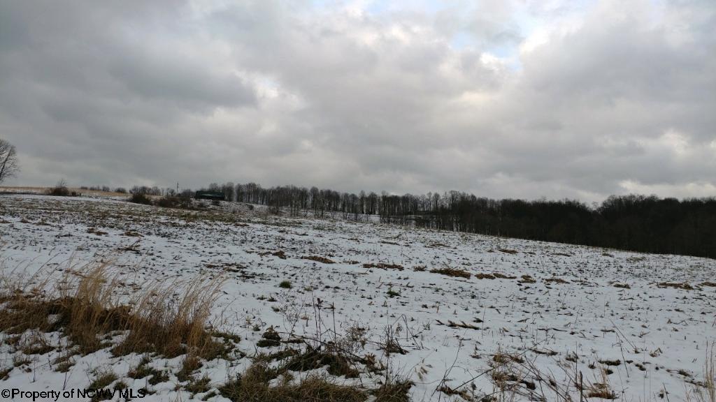WHITETAIL Drive, Bruceton Mills, WV 26525