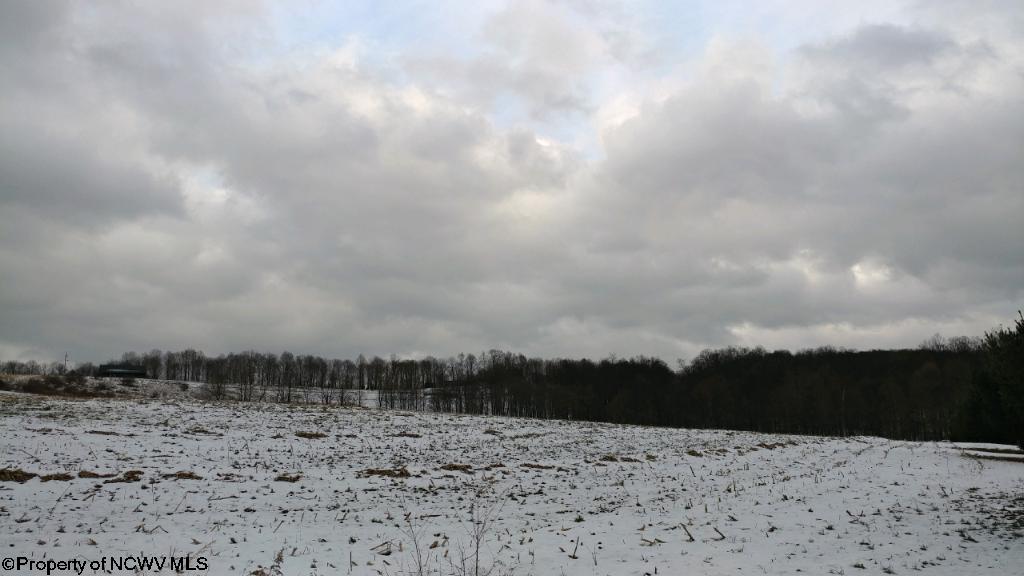 WHITETAIL Drive, Bruceton Mills, WV 26525