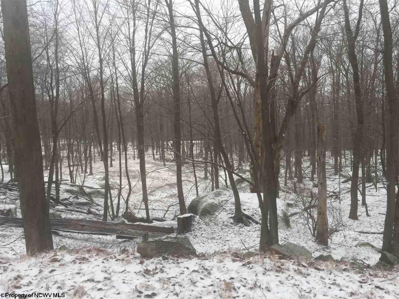Lot 31 Skyview Estates, Bruceton Mills, WV 26525