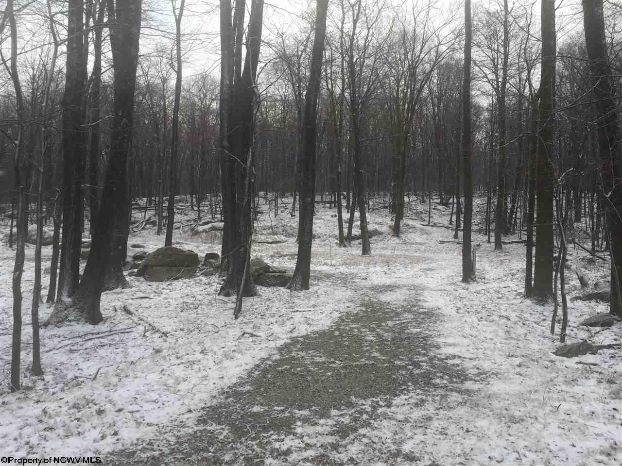 Lot 31 Skyview Estates, Bruceton Mills, WV 26525